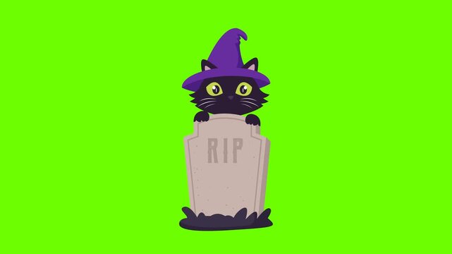 Cute Black Halloween Cat wearing Witch Hat peeking behind Tombstone