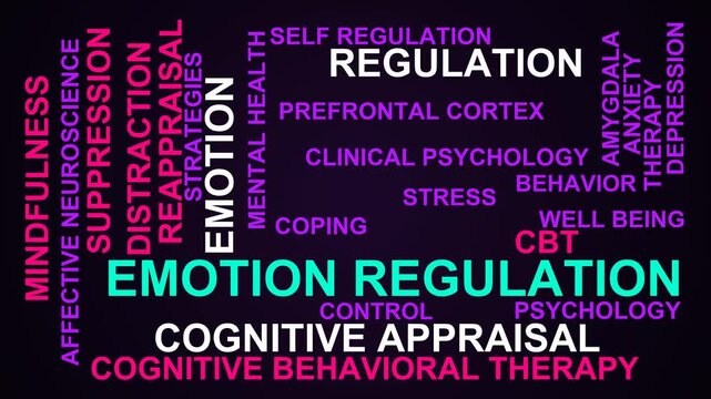 Emotion Regulation Word Cloud