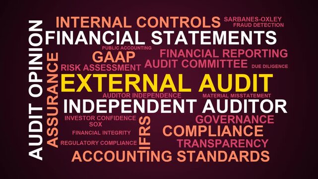 External Audit Word Cloud