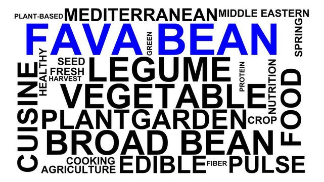 Fava Bean Word Cloud