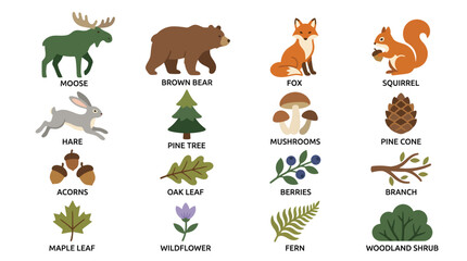 Obraz premium Set of Woodland Forest Animals and Nature Elements Illustrations.