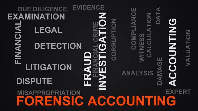 Forensic Accounting Word Cloud
