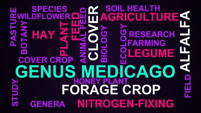 Genus Medicago Word Cloud
