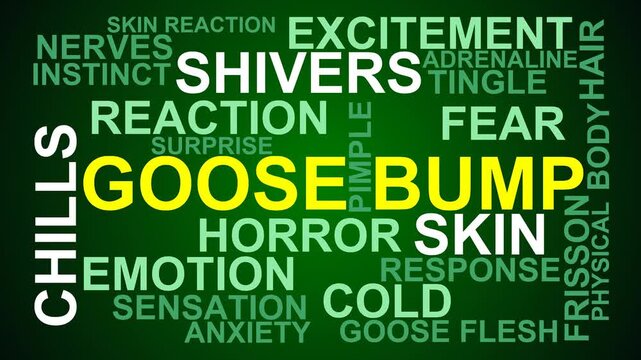 Goose Bump Word Cloud