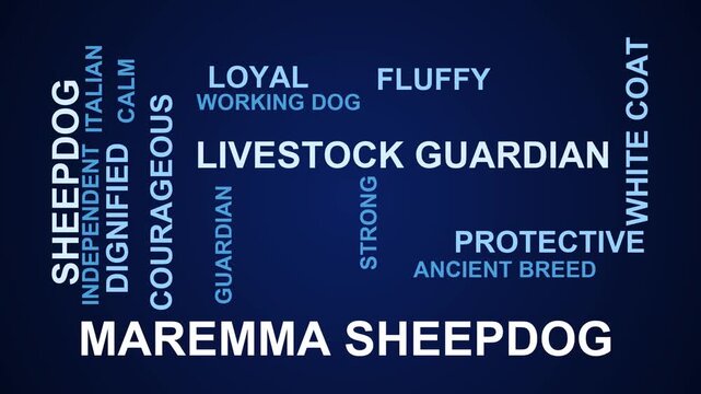 Maremma Sheepdog Word Cloud