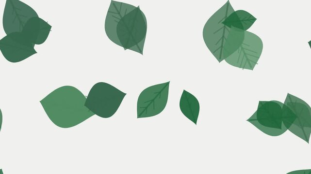 Animated muted green falling leaves motion background seamless loop