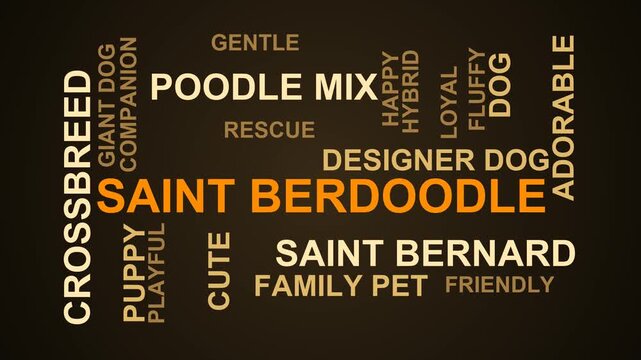Saint Berdoodle Word Cloud