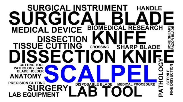 Scalpel Word Cloud