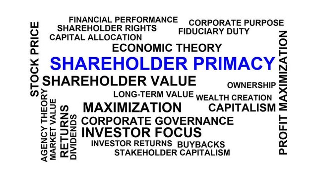 Shareholder Primacy Word Cloud