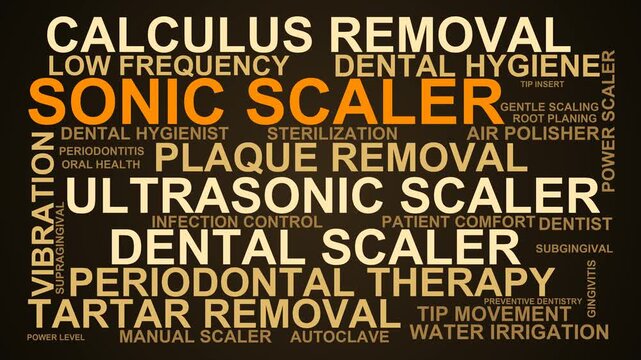 Sonic Scaler Word Cloud