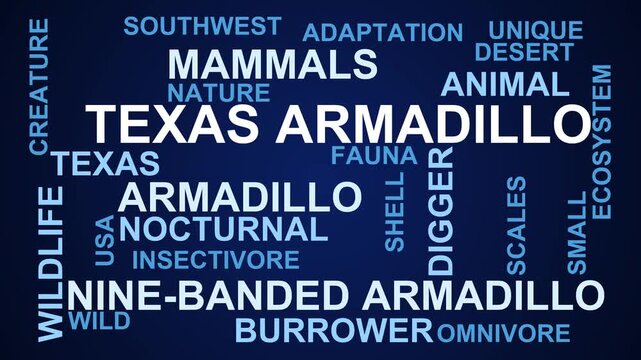 Texas Armadillo Word Cloud