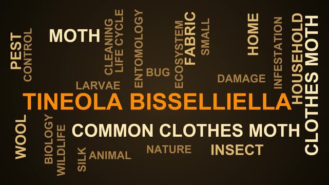 Tineola Bisselliella Word Cloud