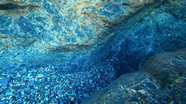 Small fish swimming over rocky underwater seabed