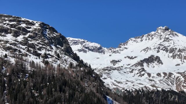 heavy snowfields blanket jagged ridge sharp summit rises beyond forested larch pine slopes below clear blue sky aerial drone pan julier pass mountain pass graubunden switzerland swiss alps glaciated