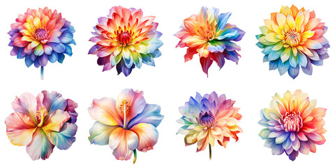 Obraz premium Collection of watercolor style vibrant flowers on a black backdrop for creative designs