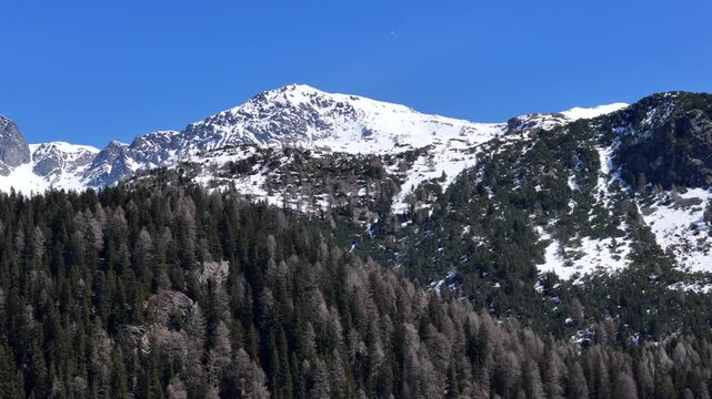 rugged mountain range spans horizon snowcapped ridge rises left rocky summit dominates center mixed larch pine forest blankets foreground slopes aerial drone footage julier pass graubunden switzerland