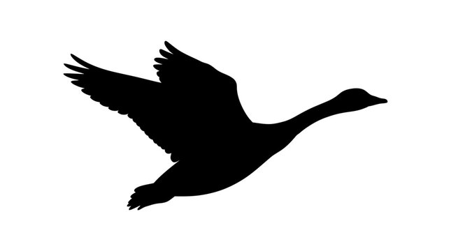 Flying goose silhouette against a white background