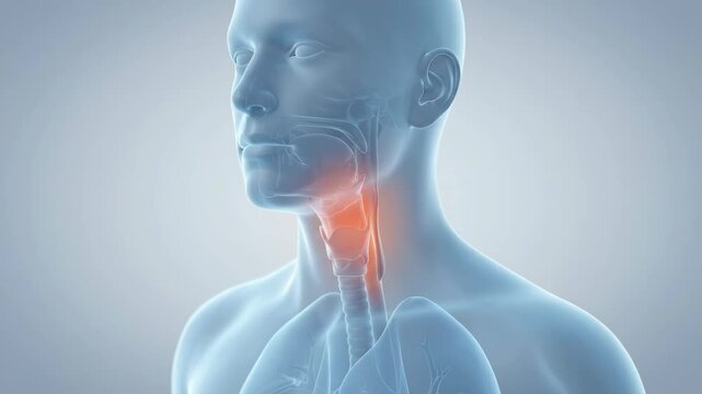 3d medical human anatomy showing glowing throat pain area