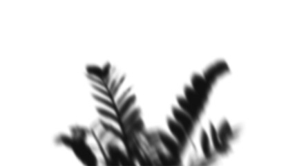 Abstract black and white blurred plant silhouette on transparent background © dragon