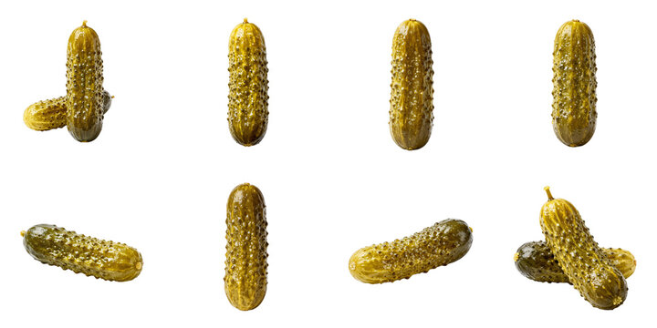 Collection of pickled cucumbers with their bumpy skin, isolated on a black background