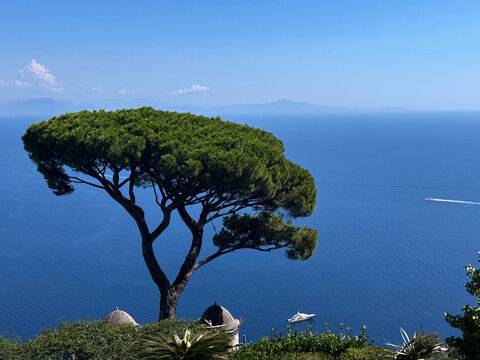 Scenic view from ravello over the mediterranean sea with iconic umbrella pine tree, lush garden, distant coastline and yacht under clear blue sky