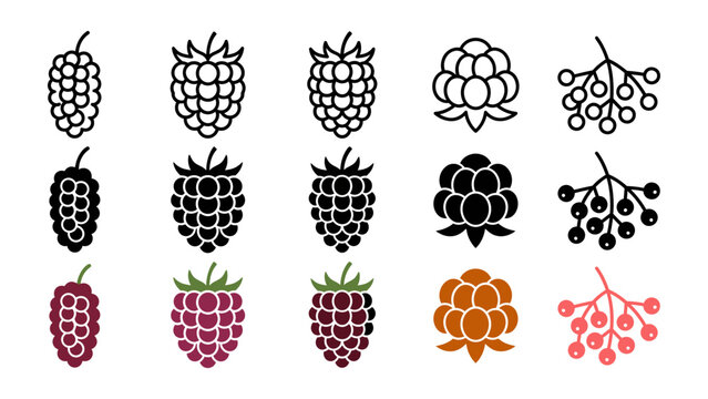 Set of various berry icons including mulberry, raspberry, blackberry, cloudberry, and elderberry in outline, solid, and colored vector styles