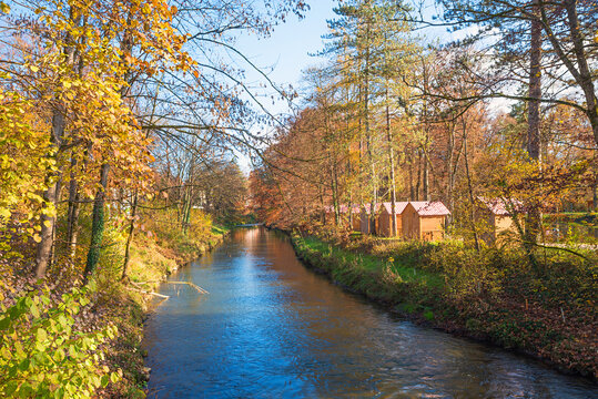 autumnal colored trees beside Glonn river, Bad Aibling. landscape upper bavaria