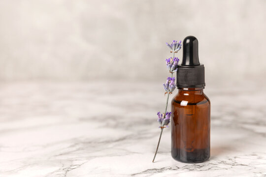 Lavender essential oil in glass and bottles with fresh lavender fowers. Natural aromatherapy. Organic skincare. Herbal cosmetic serum. Spa wellness treatment. Botanical Extract, beauty and self care 