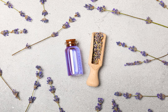 Lavender essential oil in glass and bottles with fresh lavender fowers. Natural aromatherapy. Organic skincare. Herbal cosmetic serum. Spa wellness treatment. Botanical Extract, beauty and self care 