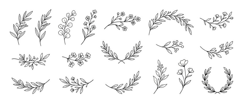 Hand-drawn botanical elements, isolated leaf branches and floral sprigs