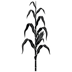 Obraz premium Corn stalk silhouette vector illustration showing ear of maize for agricultural farm theme.