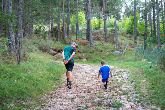 Father and son walking along a forest trail in the woods with natural light