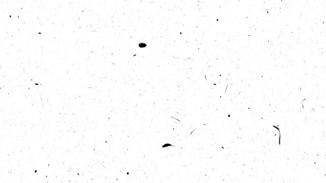 White distressed film texture with moving dust, fine scratches, grain and random marks, creating a vintage analog movie overlay for cinematic footage, retro visuals and projects, white 4k video