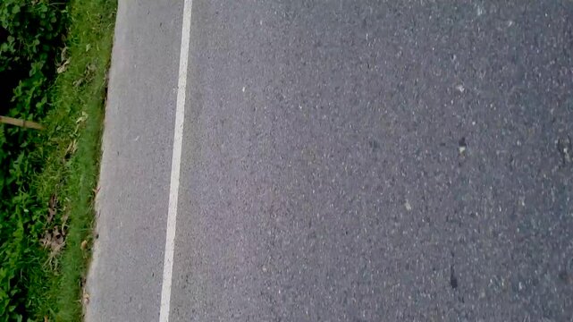 Empty asphalt road surface with a white painted line stretching along the green roadside