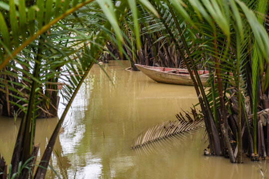 Traditional wooden boat on muddy canal water surrounded by nipa palms in Hoi An, Vietnam