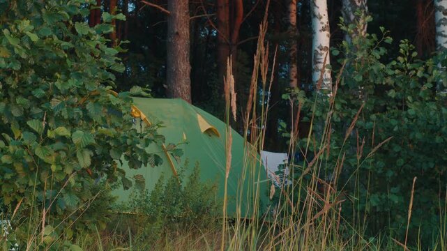 Camping tent set in the wild area in the forest