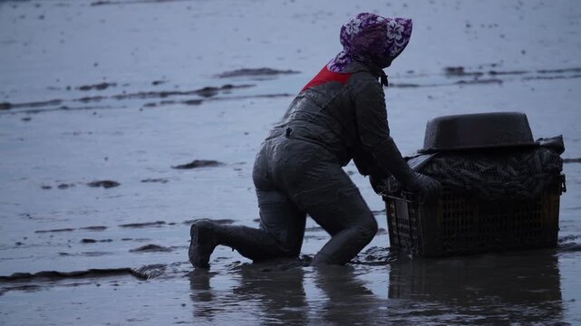 Korean Mudflat Peolbae Razor Clam Shellfish Clam Harvesting Fisherman Korea 한국 갯벌 뻘배 맛조개 조개 조개잡이 어민 어부 채취 수산물 해양생태 노동
