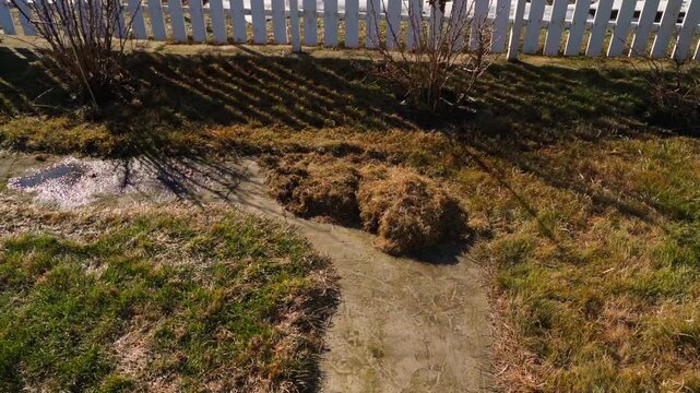 Piles of raked dry grass on lawn near white fence in spring. Backyard with bushes and remaining snow after cleaning