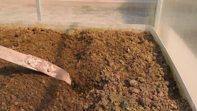 Loosening soil in greenhouse garden bed with hand hoe in slow motion close-up