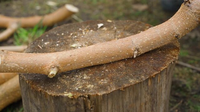 Chopping branch with axe on tree stump close-up. Cutting wooden stick on chopping block in garden