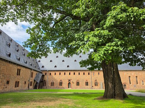 ​Scenic courtyard of a historic medieval European castle or monastery with ancient stone architecture, a green lawn, and a large old tree under a blue sky