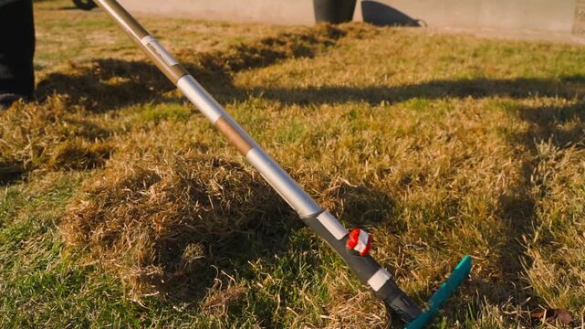 Raking dry grass on lawn with fan rake in spring. Person cleaning turf from dead grass and thatch