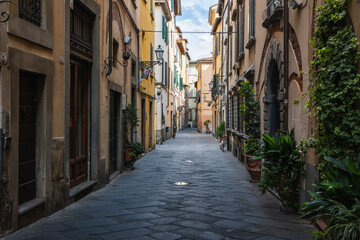 Obraz premium Charming narrow historic alley with traditional stone pavement, old buildings, and green plants in an old town in Italy.
