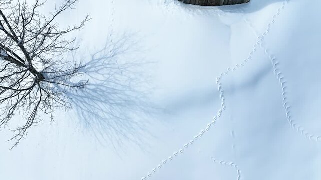Uzungol Lake (Uzung&ouml;l) in the Winter Season Drone Video, Uzungol Plateau Caykara, Trabzon Turkiye (Turkey)