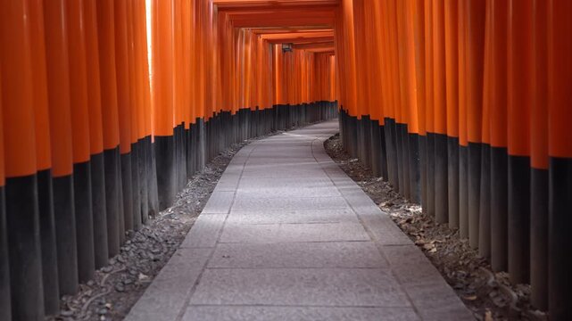 Walking through the iconic torii gates at Fushimi Inari Shrine in Kyoto, Japan.
