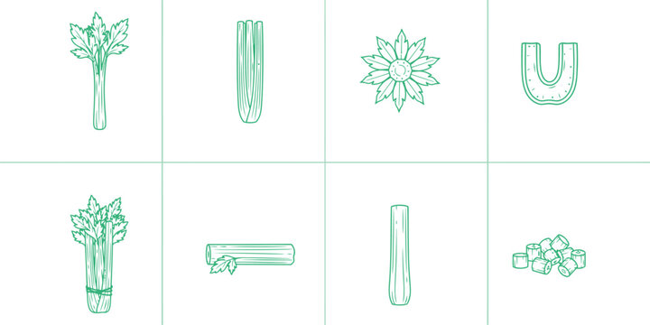 Clean line art illustrations of celery stalks and flower abstract shapes on a white background for healthy food concepts