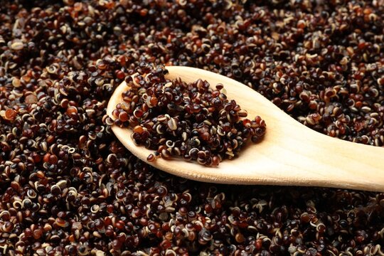 Tasty cooked black quinoa and spoon as background, closeup