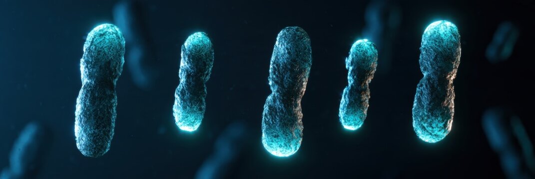 Five chromosomes in a row with glowing caps. The telomeres shrink from left to right, indicating cellular aging with fading light.