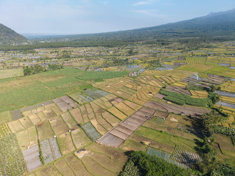 Aerial panorama of rice terraces, vegetable plots, village homes, forested hills, and distant mountains at Teras Semeru.