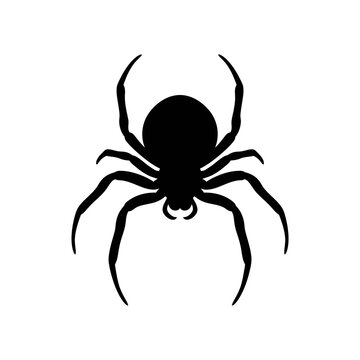 Black spider silhouette vector, creepy arachnid icon for Halloween, minimalist poisonous insect graphic, scary tarantula symbol for spooky designs isolated on White Background silouette